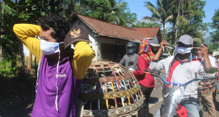 Berangkat Adu Merpati, eh Malah Terjaring Operasi Yustisi