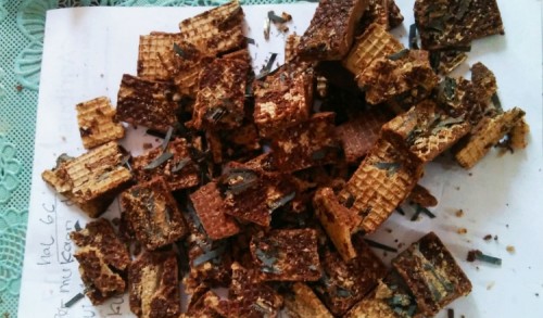 Jahat ! Pria di Jember Bagikan Wafer Berisi Potongan Silet ke Anak-anak