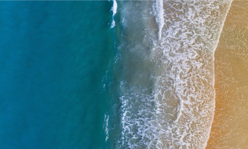 Pesona Pantai Pink di Pulau Komodo: Keajaiban Alam yang Memukau dan Wajib Dikunjungi