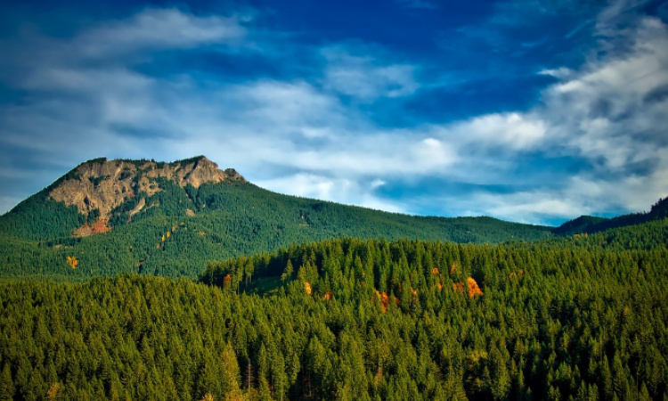 Taman Nasional Baluran: Afrika Kecil di Ujung Timur Pulau Jawa