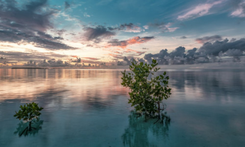Pulau Gili Trawangan: Surga Tropis yang Populer di Bali dengan Keindahan Laut yang Memukau