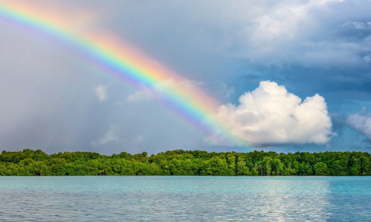 Menikmati Keindahan Pulau Derawan di Kalimantan Timur yang Menyuguhkan Pesona Bahari Memukau