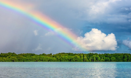 Menikmati Keindahan Pulau Derawan di Kalimantan Timur yang Menyuguhkan Pesona Bahari Memukau