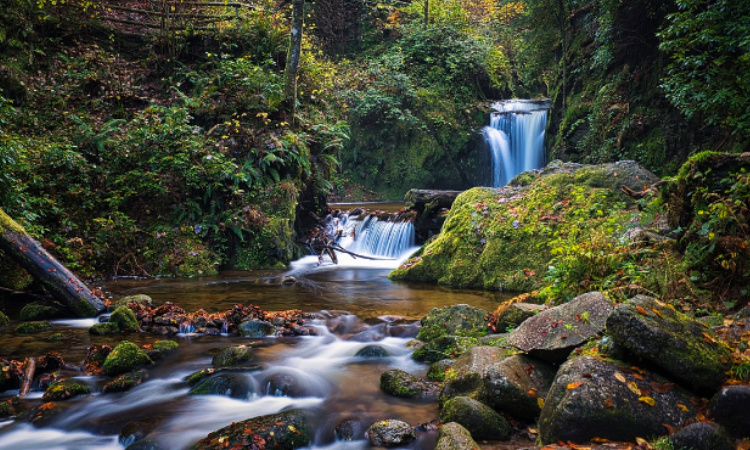 Air Terjun Madakaripura: Destinasi Mistis dengan Keindahan Tiada Tara